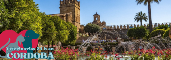 veterinarios urgencias cordoba