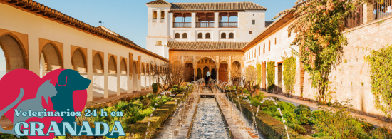 veterinarios urgencias granada