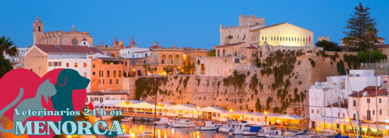 veterinario urgencias menorca