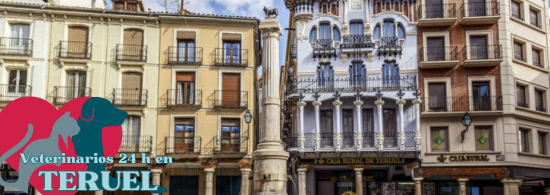 veterinarios de urgencias en teruel
